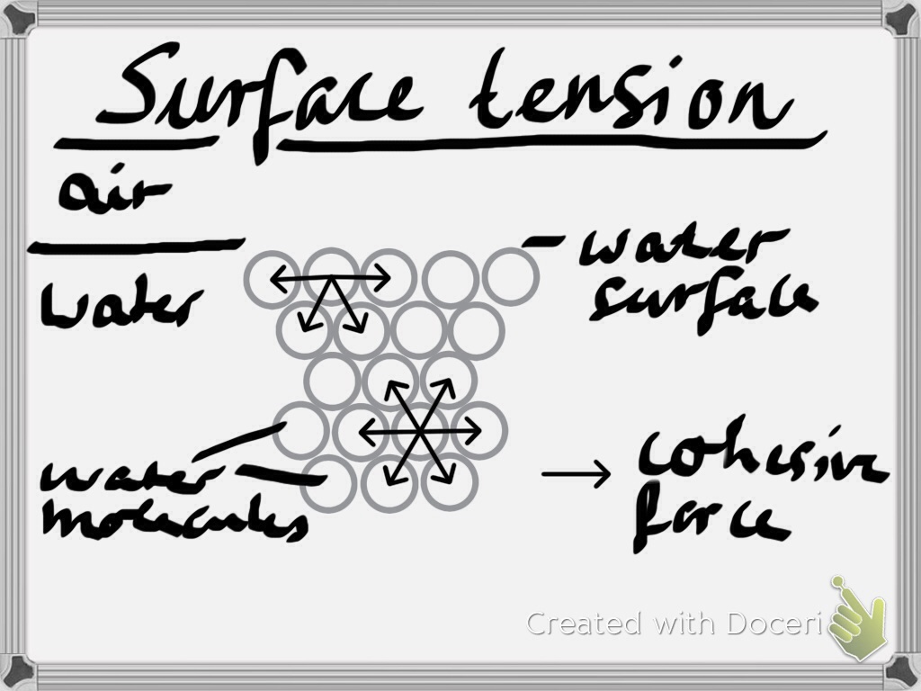 Trying to understand surface tension Mirjam S. Glessmer