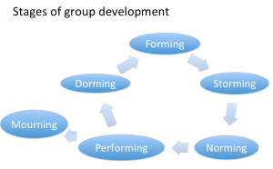 group_development