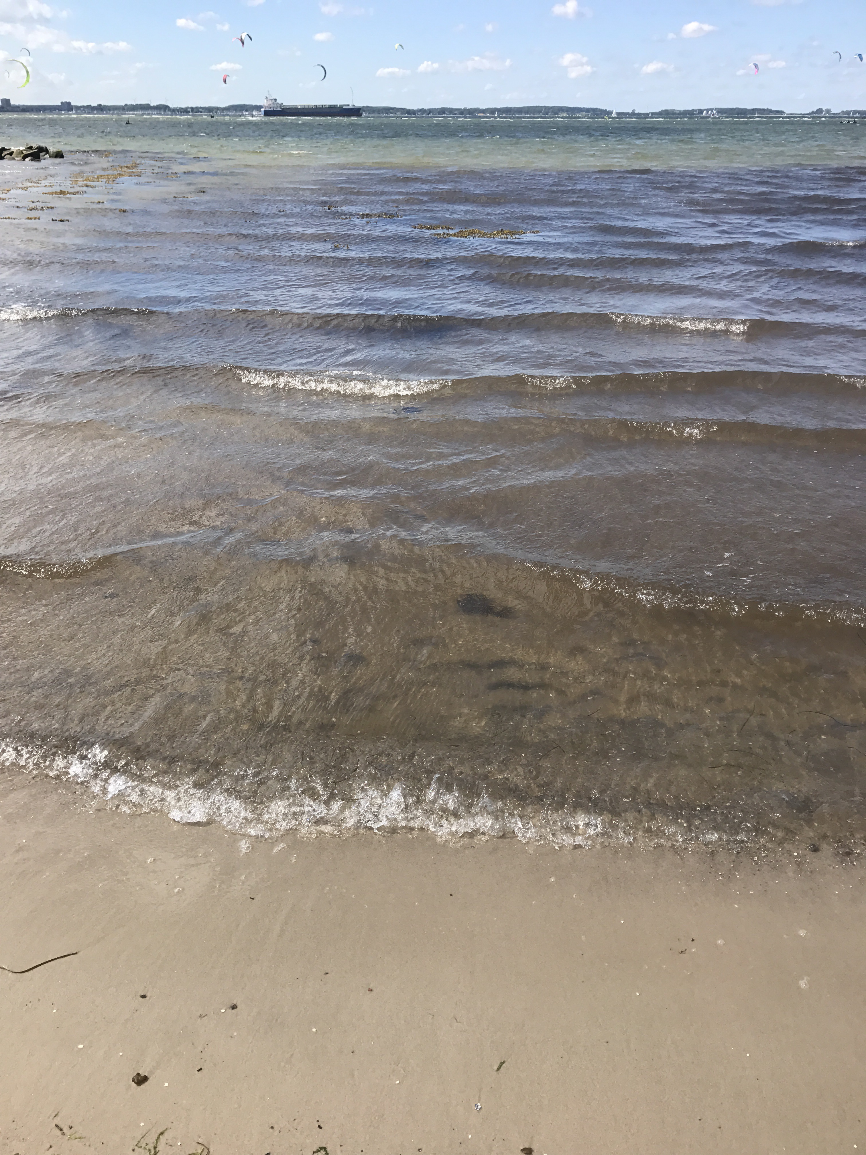 Shallow water waves - Adventures in Oceanography and Teaching