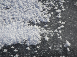 Frost flowers on the ice of the Schlei in Schleswig. By Mirjam S. Glessmer