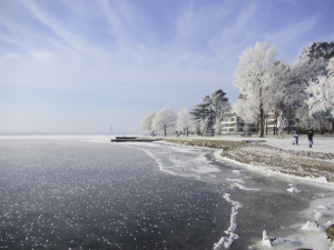 Frost flowers on the ice of the Schlei in Schleswig. By Mirjam S. Glessmer