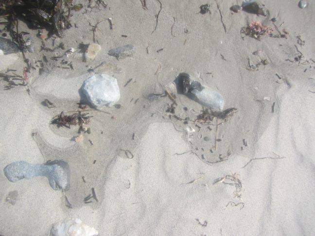 Traces in the sand - Adventures in Oceanography and Teaching