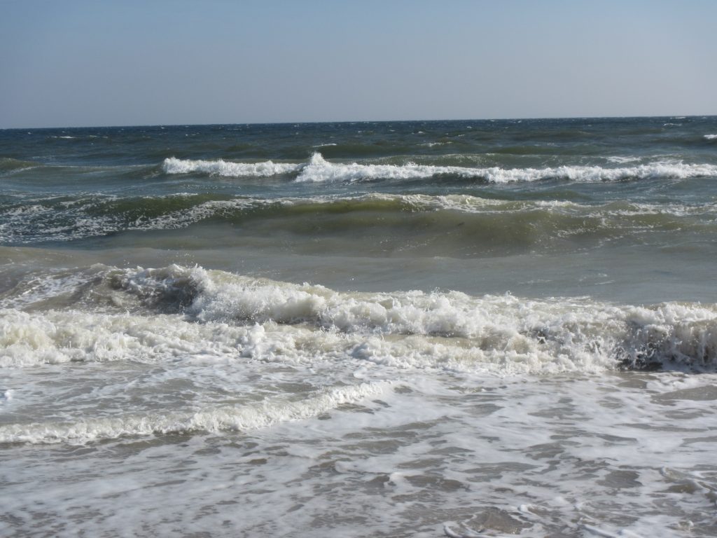 Awesome waves - Adventures in Oceanography and Teaching