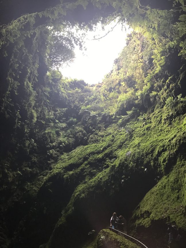 Volcano Tour On Terceira - Adventures In Oceanography And Teaching