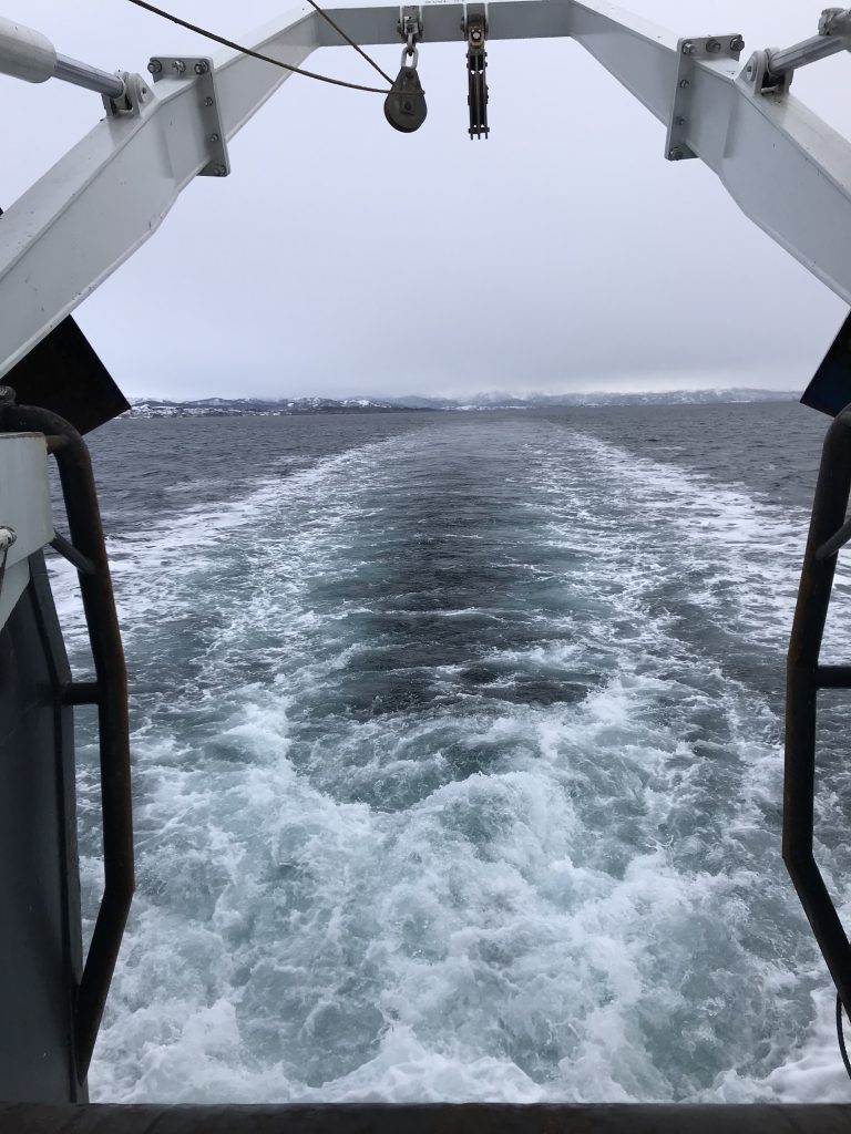 Why does a turbulent wake stay visible for such a long time after the