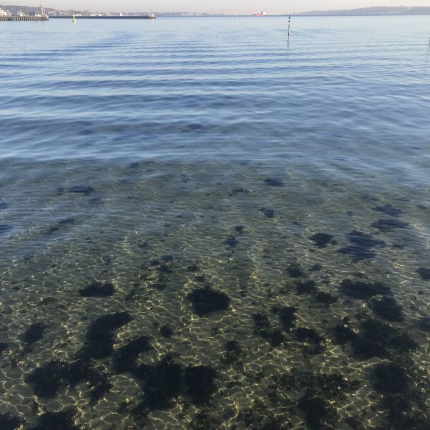 Intriguing interference pattern of waves - Adventures in Oceanography ...