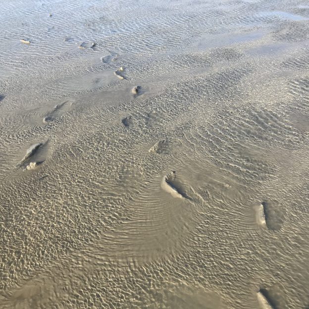 The wonders of a Wadden Sea. Or what someone addicted to #wavewatching ...