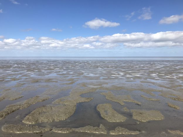 Wadden Sea Archives - Adventures in Oceanography and Teaching