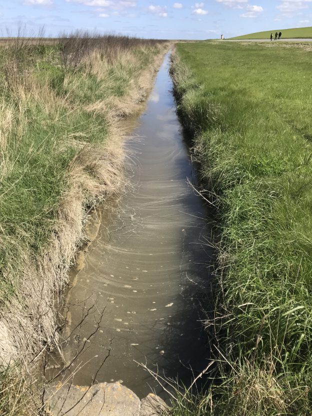 Dirty drainage ditch or a natural flume for fluid dynamics fun? You