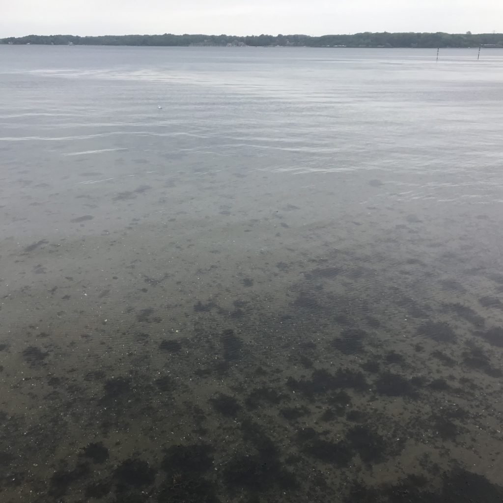Sunday #wavewatching. Shallow water waves, deep water waves, # ...