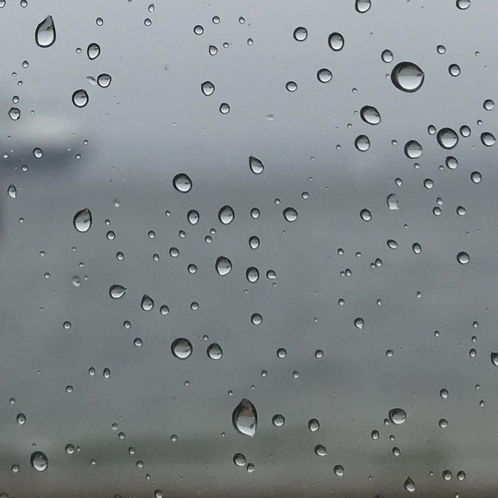 Rainy Day Wave Watching On Kiel Fjord: Diffraction, Wind Effects, A 