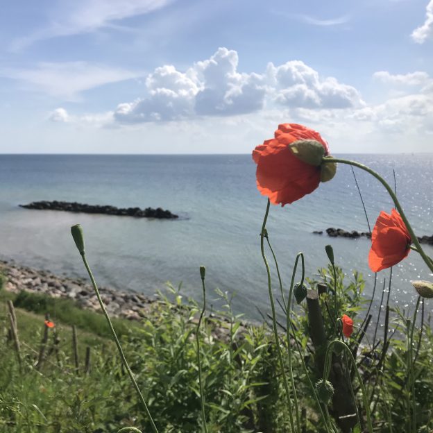 wind waves Archives - Adventures in Oceanography and Teaching