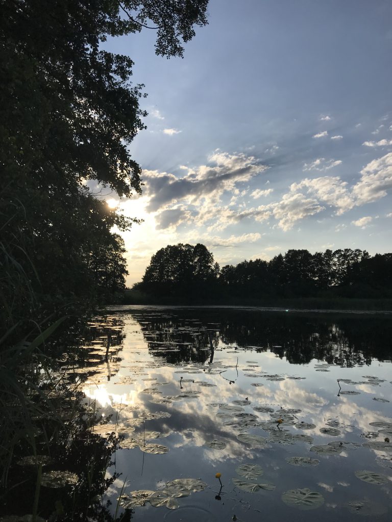 GEO-Tag der Natur Archives - Adventures in Oceanography and Teaching