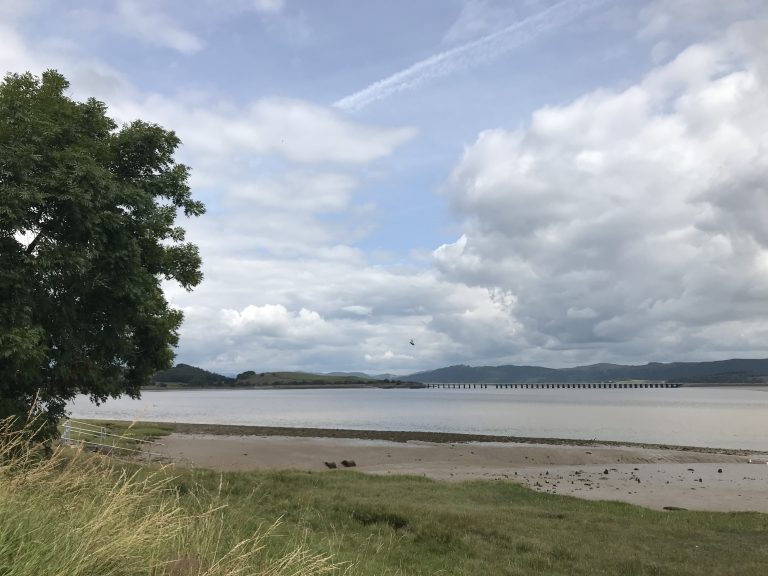 Crabs in the grass tides in Ulverston Adventures in Oceanography