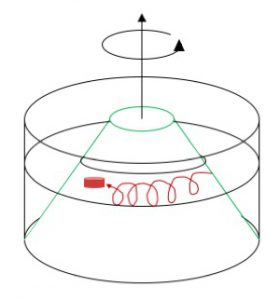 Rossby waves in a rotating tank - three different demonstrations ...