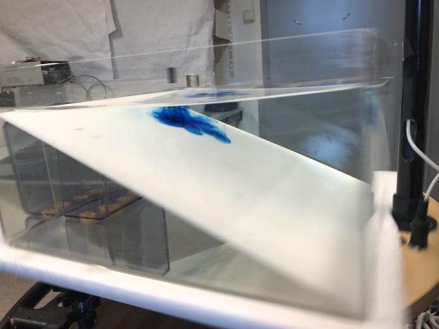 Planetary Rossby waves - Adventures in Oceanography and Teaching