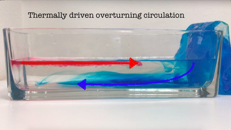 tank cycling experiment