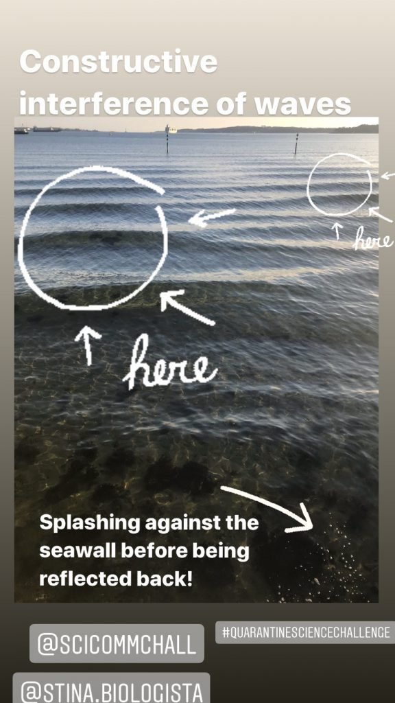 #SciCommChall: Science in just one Instagram story post - Adventures in ...