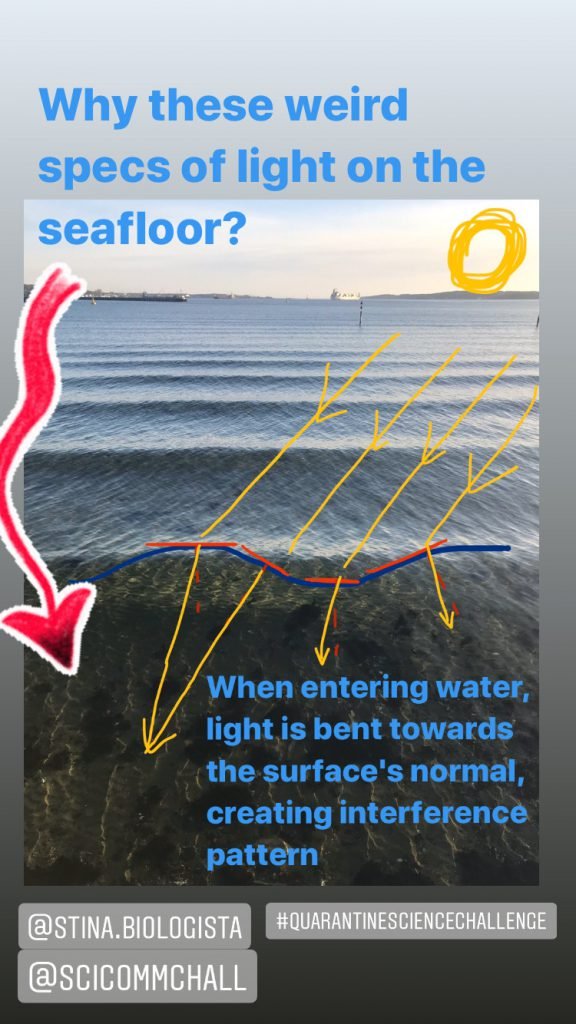 #SciCommChall Archives - Adventures in Oceanography and Teaching