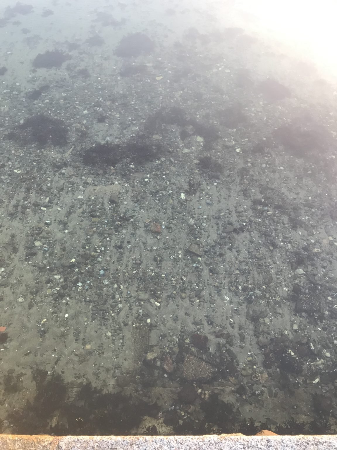 Sand ripples. Why do they form in the exact way they do? - Adventures ...