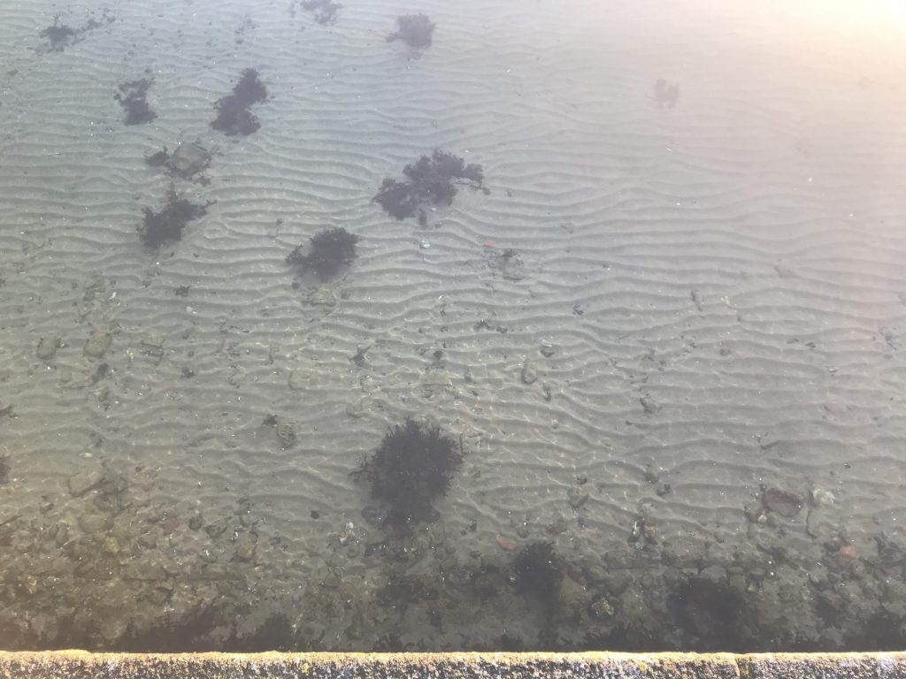 Sand ripples. Why do they form in the exact way they do? Adventures