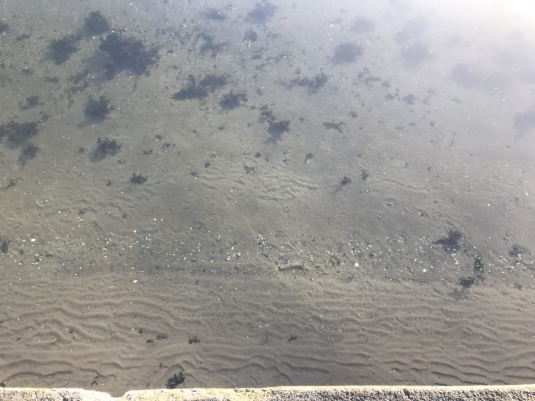 Sand ripples. Why do they form in the exact way they do? - Adventures ...