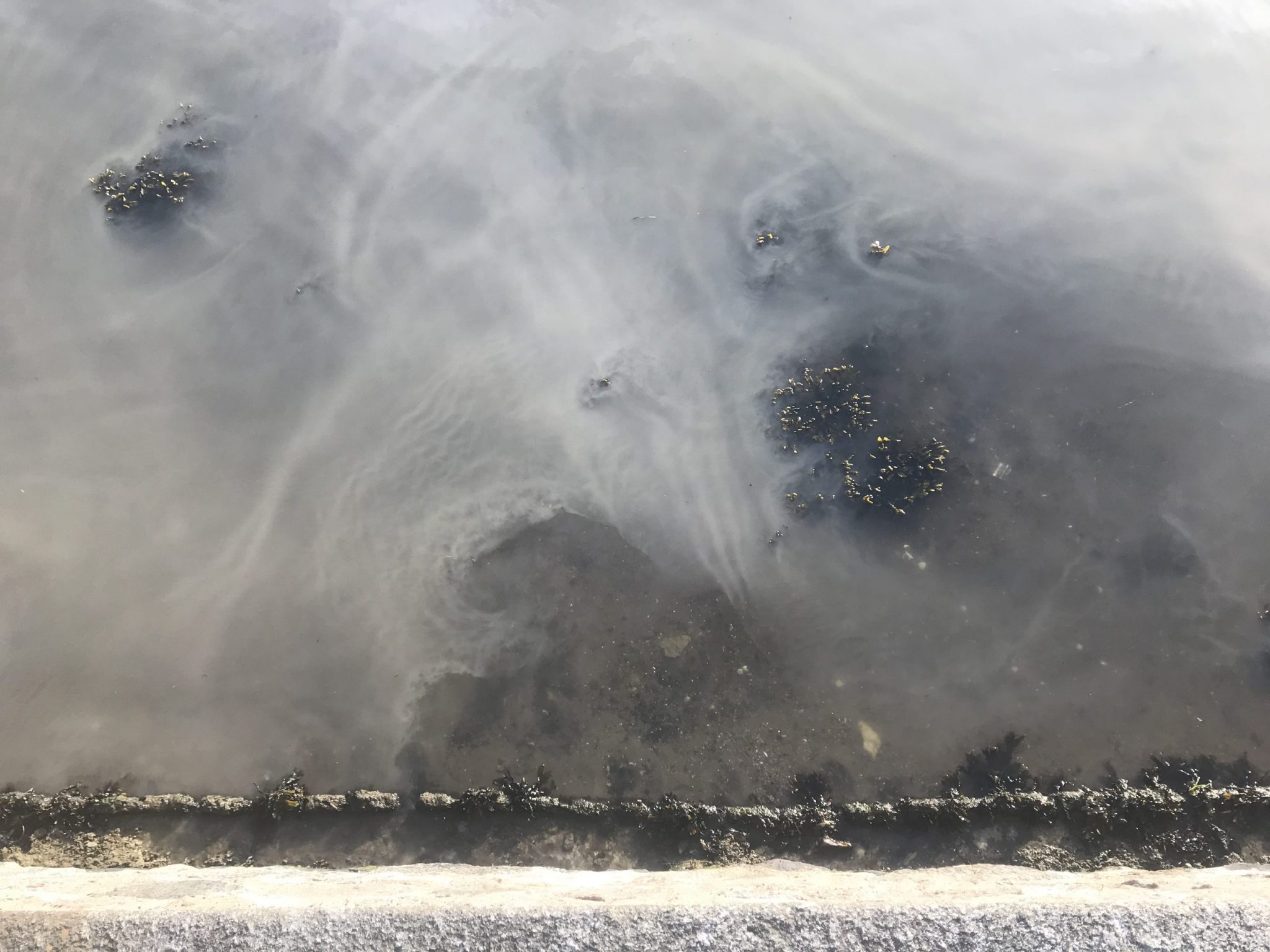 Broken water pipes Adventures in Oceanography and Teaching