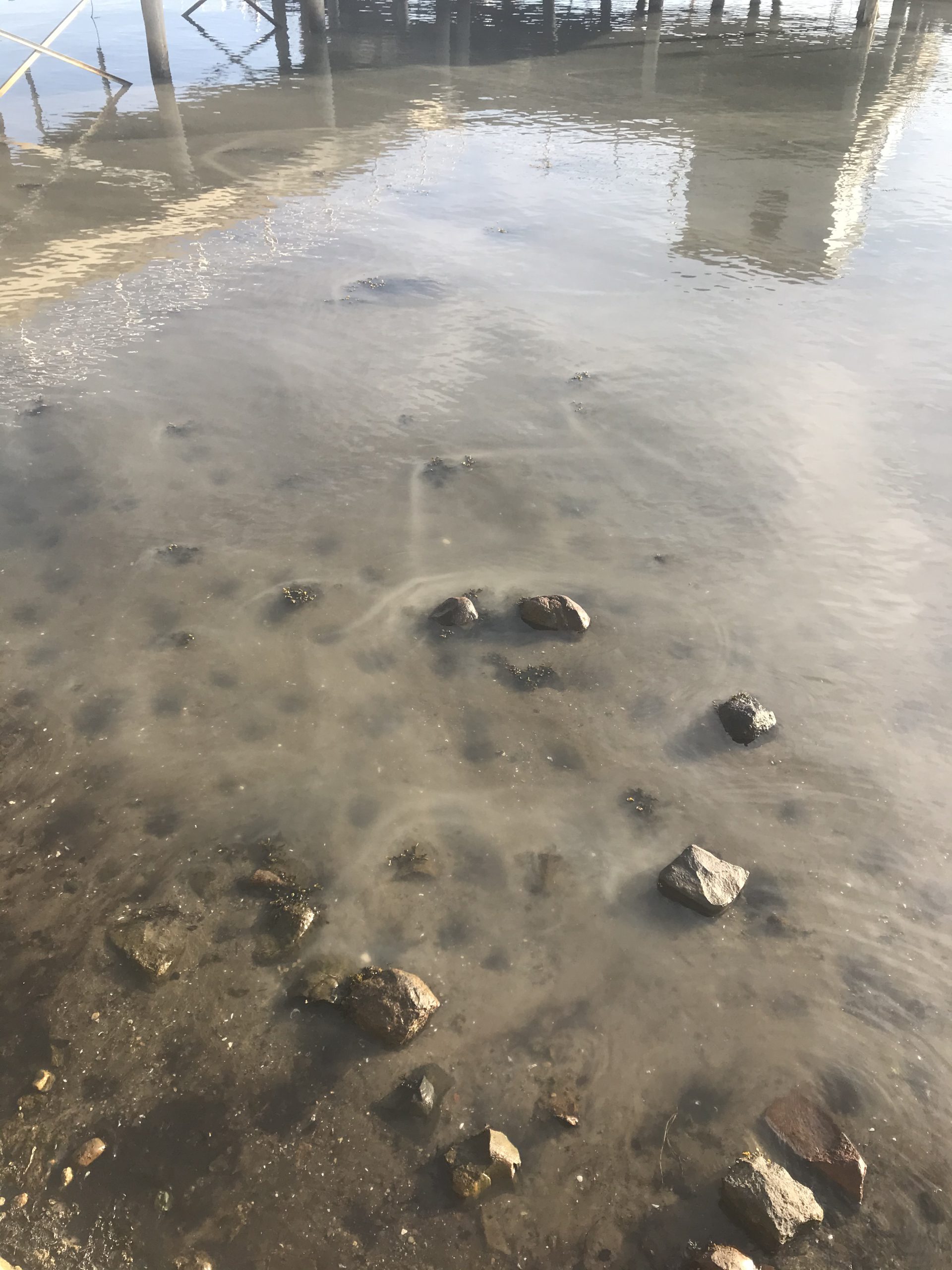 Broken water pipes Adventures in Oceanography and Teaching