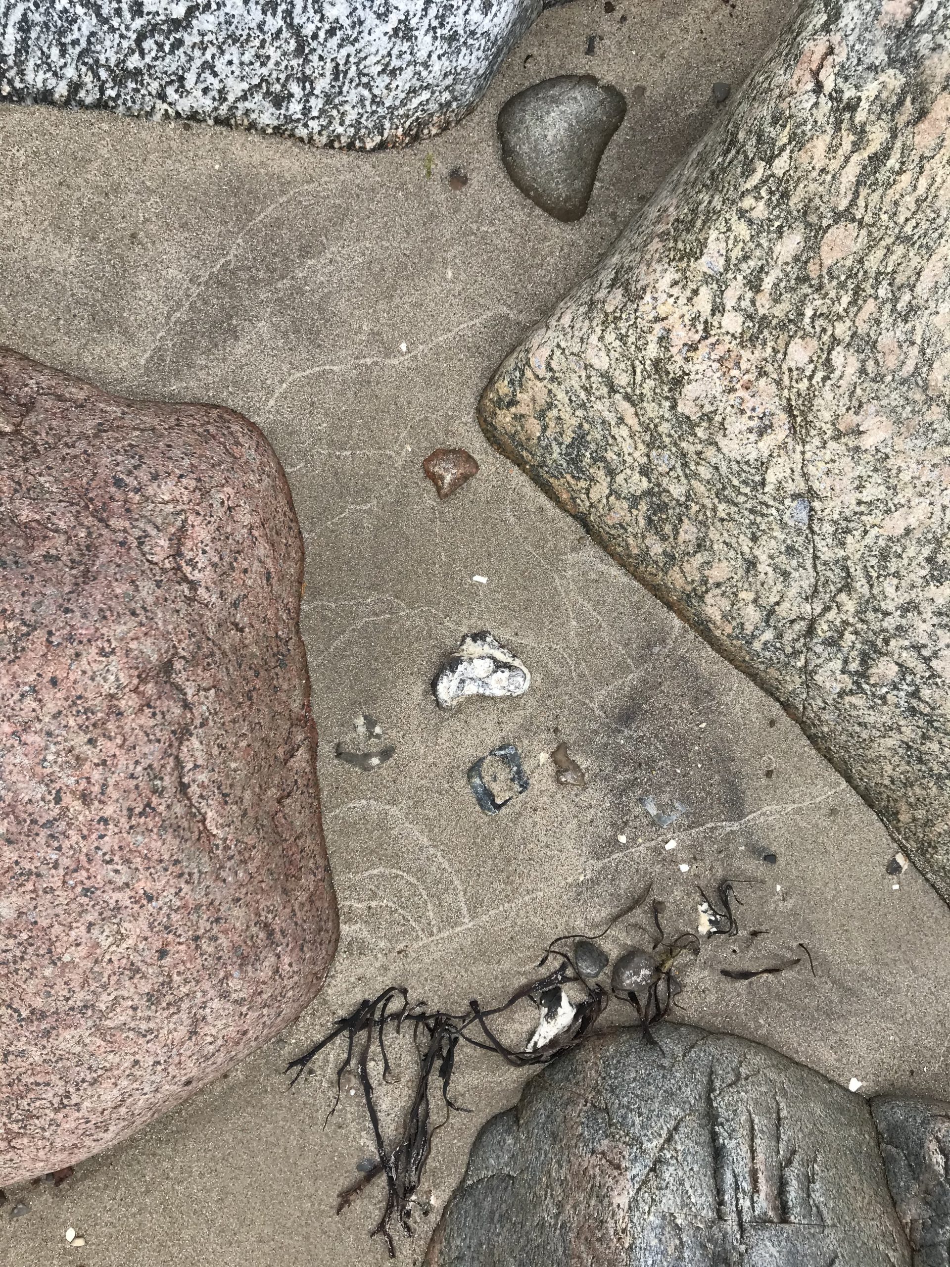 IMG_3466-scaled.jpg?is-pending-load=1