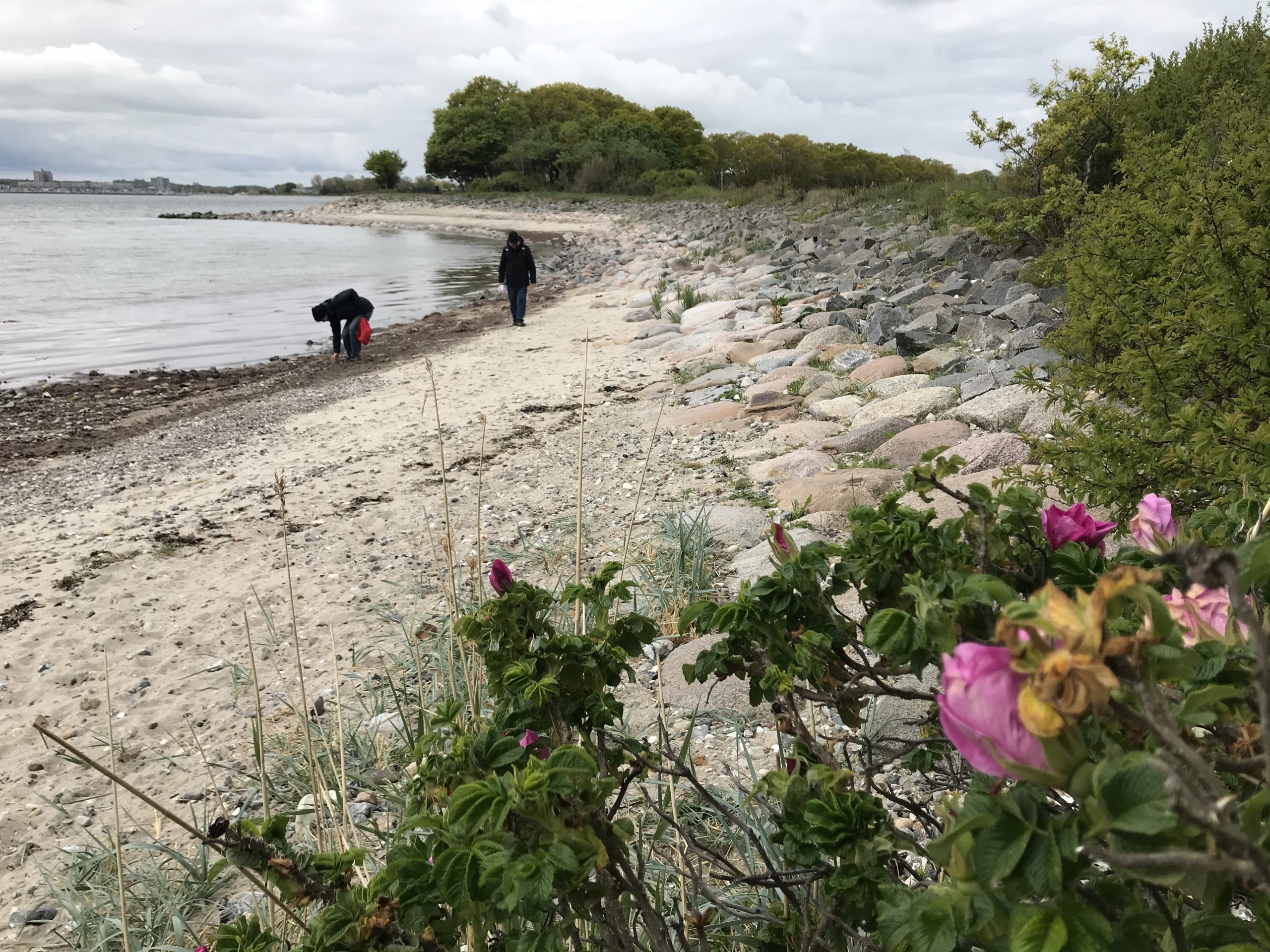 IMG_3475-scaled.jpg?is-pending-load=1