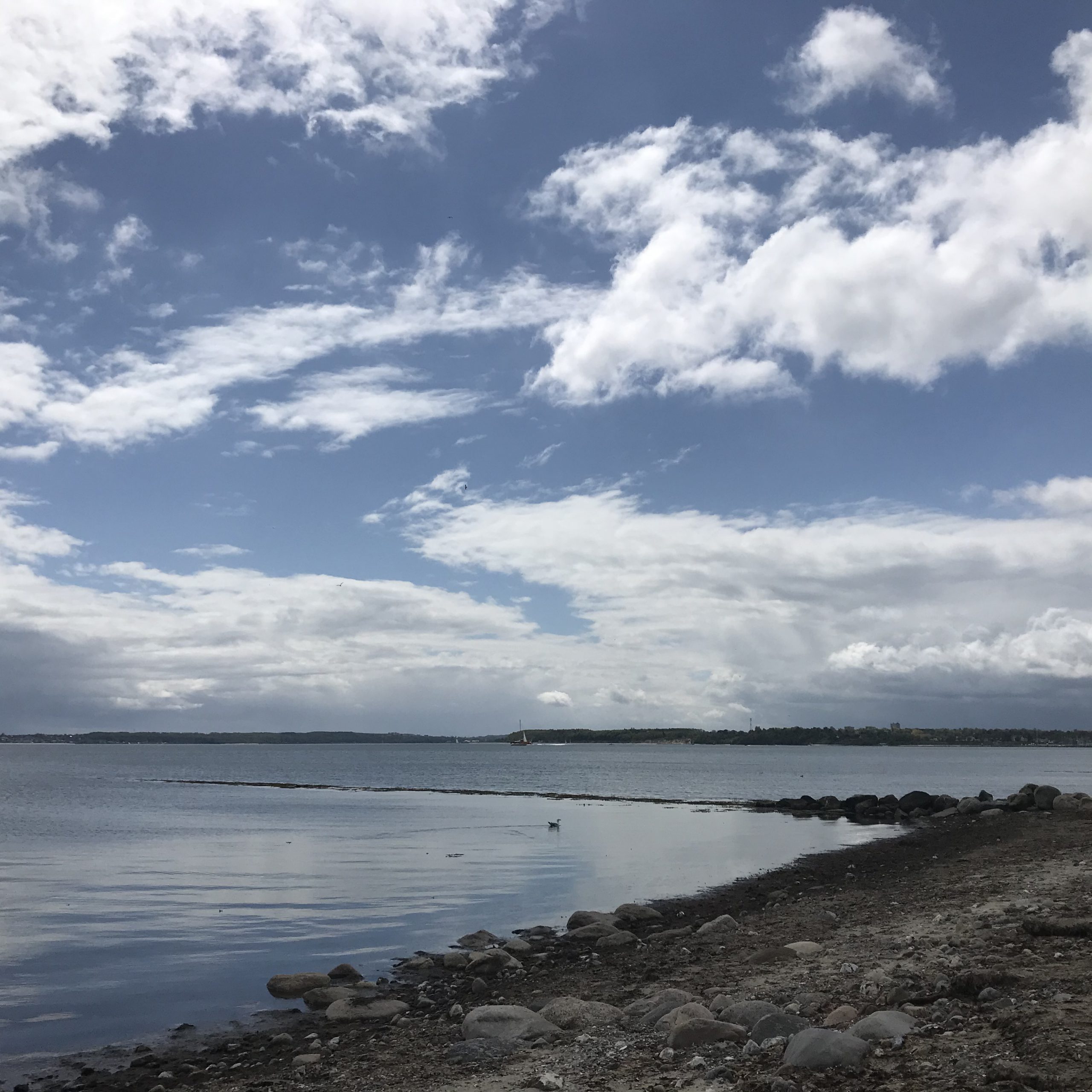 IMG_3523-scaled.jpg?is-pending-load=1