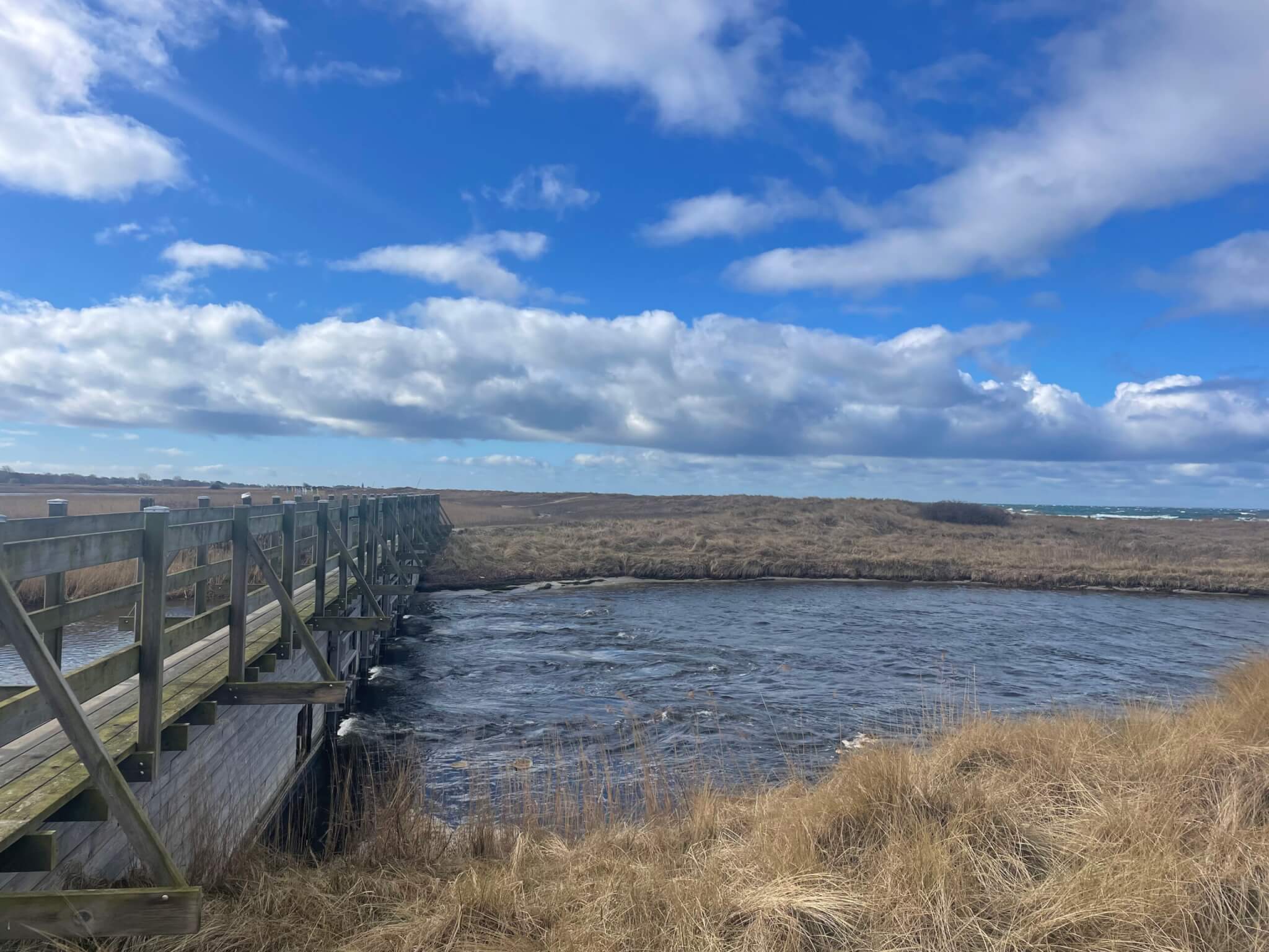 Photo of a weir on the left edge of the image, with strong currents where water shoots out from underneath the bridge